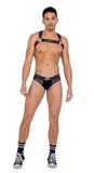 6154 - Mens Briefs with Fishnet Panel