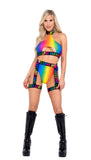 Rainbow High-Waisted Shorts "Paradise Pride" Collection (Rainbow)