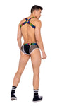 6154 - Mens Briefs with Fishnet Panel