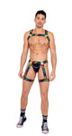 6158 - Mens Pride Thong with Attached Garters